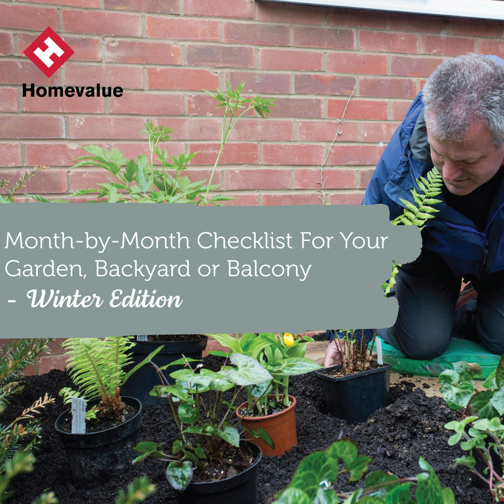 Month-by-Month Checklist For Your Irish Front Garden, Backyard or Balcony - Winter Edition 🌲🍃