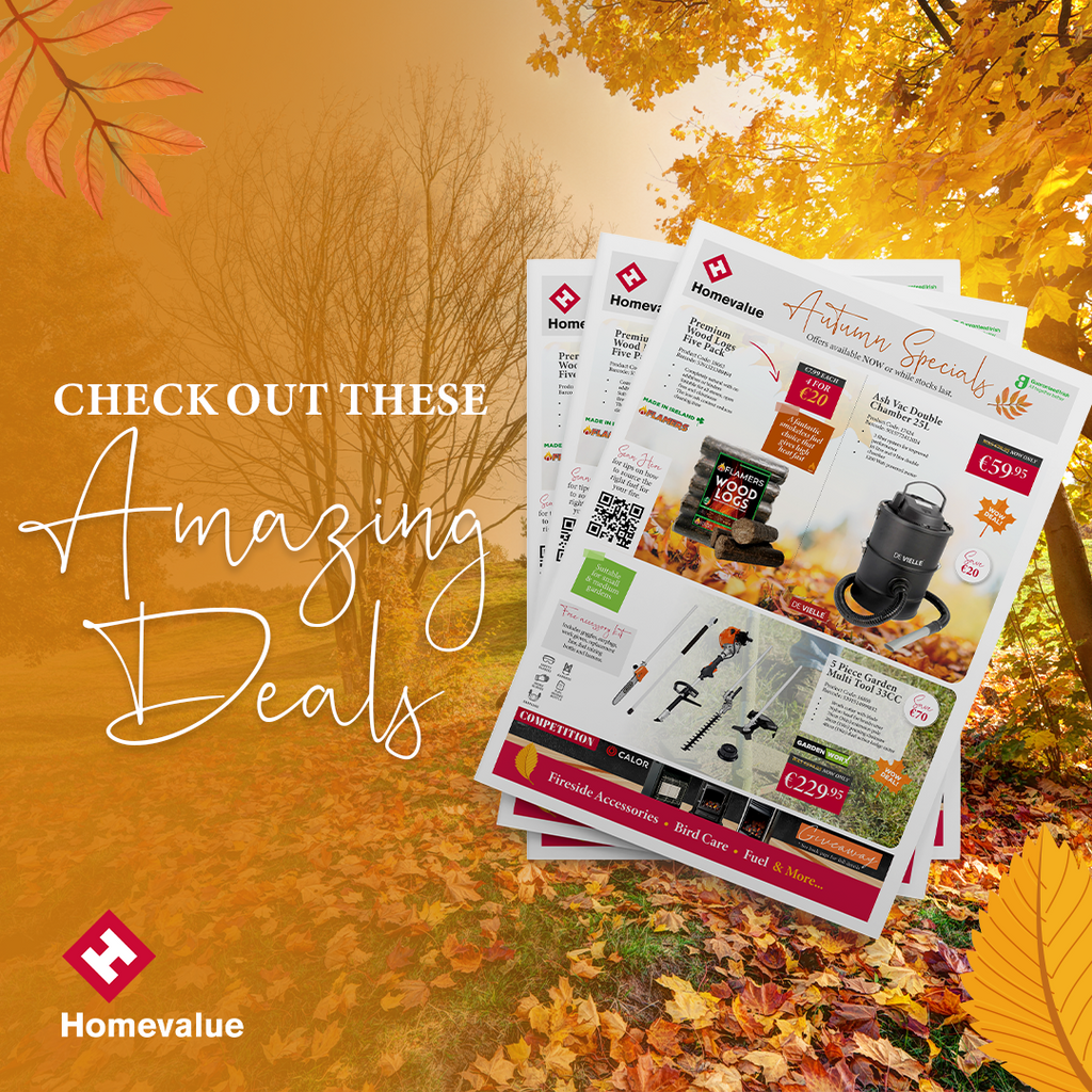 Check out our Amazing Autumn Specials! 😍🍂