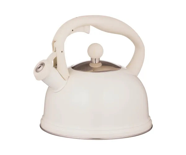 Stove Top Kettle