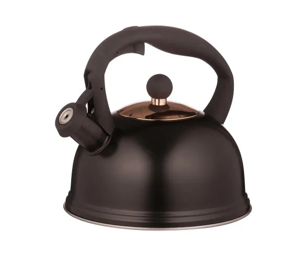 Stove Top Kettle