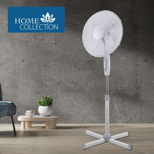 Home Collection 16