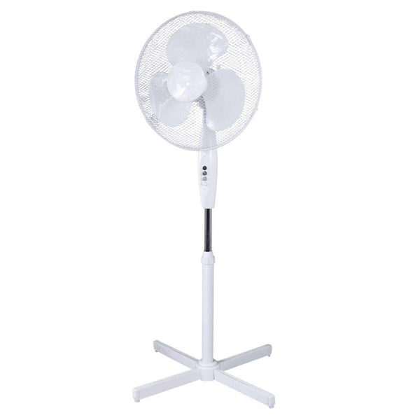 Home Collection 16
