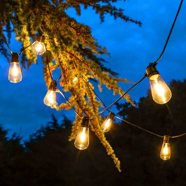 Low Voltage Vintage Festoon String Lights, Warm White Set of 20 - 6201061