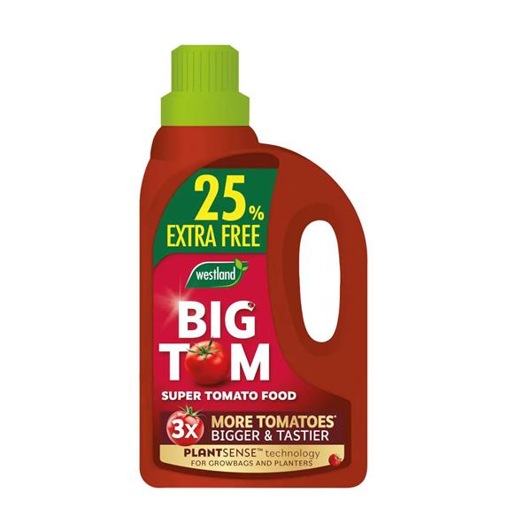 Westland Big Tom Tomato Food 1L +25% Extra Free - 39159