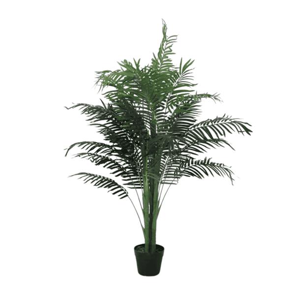 Palm Tree in Black Pot  H130cm - 632502
