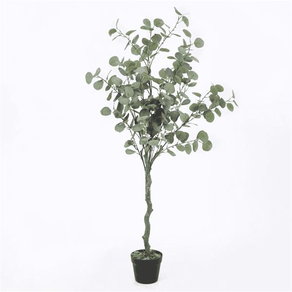 130CM EUCALYPTUS TREE IN BLACK POT - 632504