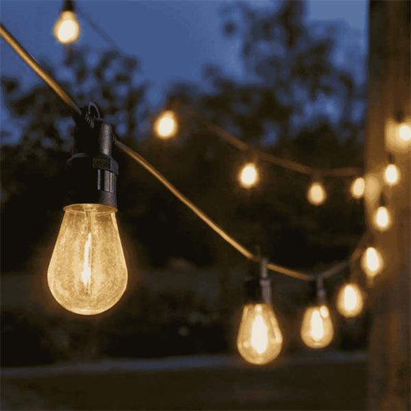 Low Voltage Vintage Festoon String Lights, Warm White Set of 20 - 6201061