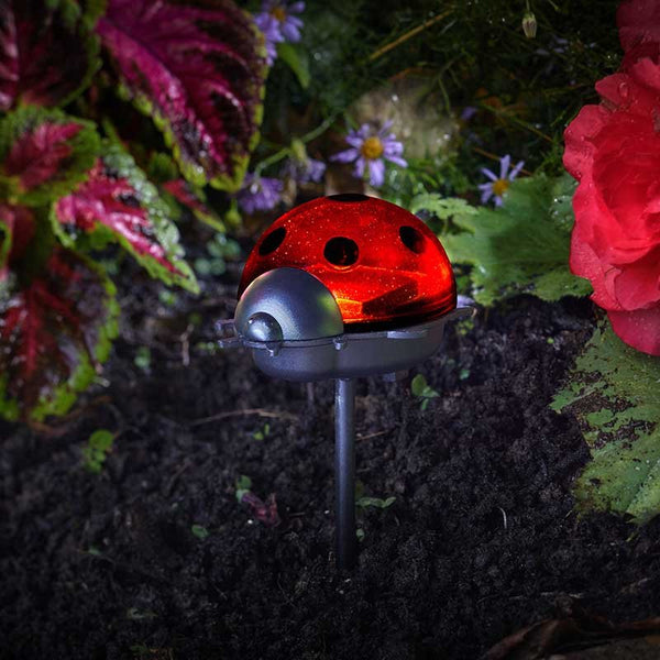 Ladybird Stake Triple Pack - 391357