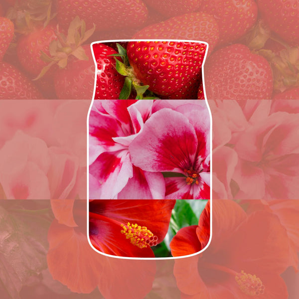 YANKEE CANDLE CLIFFSIDE SUNRISE TUMBLER - YNK0710