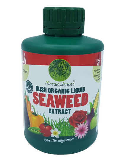 Ocean Leaves Irish Organic Liquid Seaweed 500ml - 395068