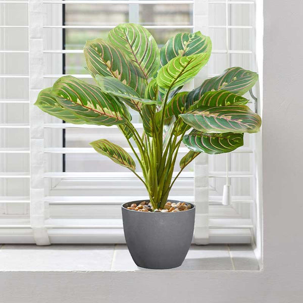 Artificial Prayer Plant - 390701