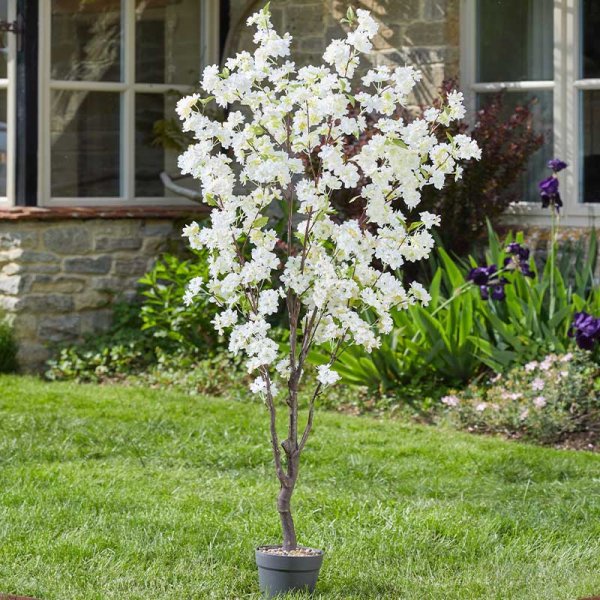 White Cherry Tree 170cm - 64240