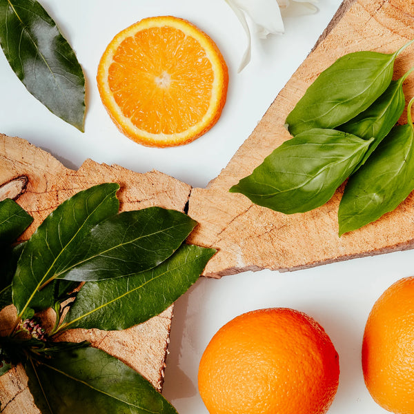 Brooke & Shoals Scented Candle - Sweet Basil, Bay & Neroli - 649442