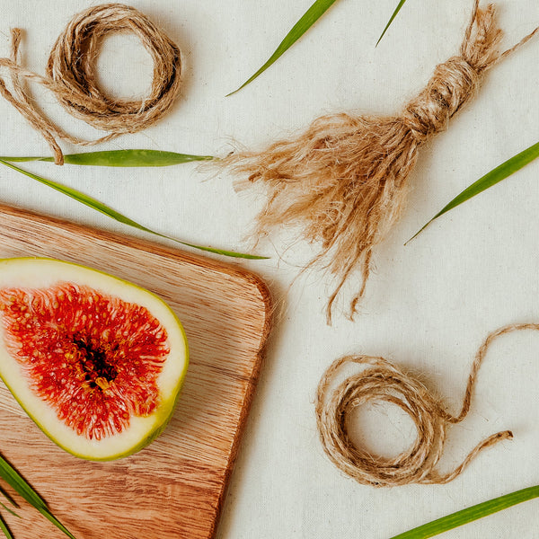 Brooke & Shoals Scented Candle - Green Fig & Vetiver Wood - 64946