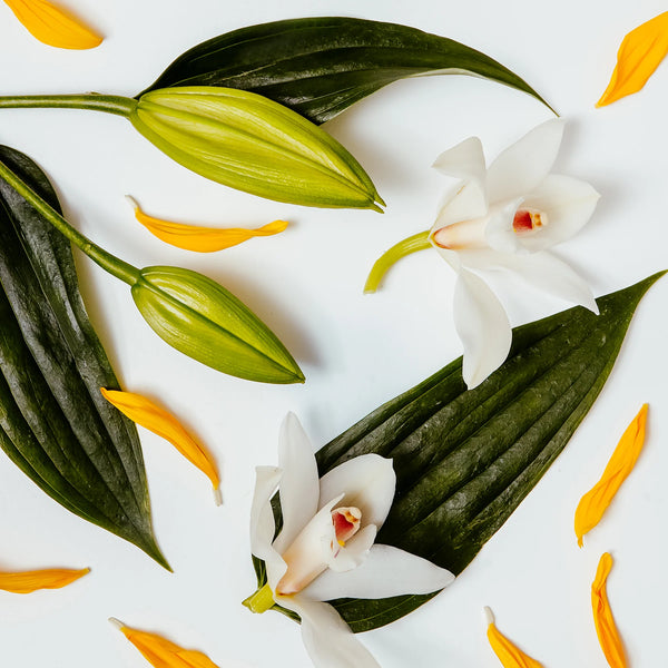 BROOKE AND SHOALS WHITE LILY & YLANG YLANG DIFFUSER - 649031