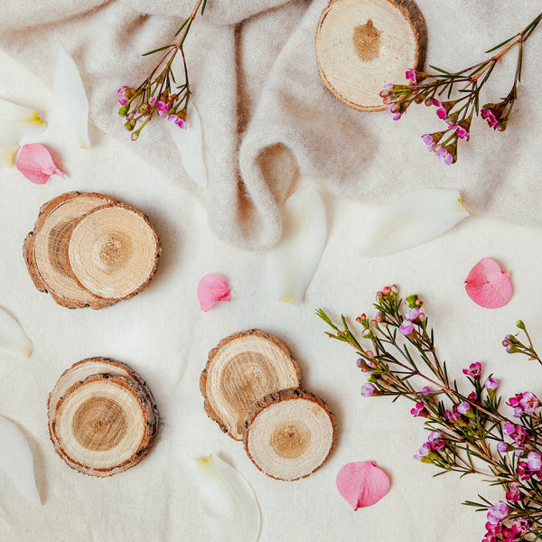 Brooke & Shoals Scented Candle - Jasmine Patchouli and Cashmere Woods - 649441