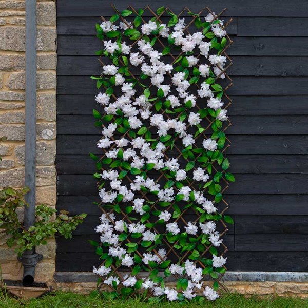 Cherry Blossom 180 x 90cm Trellis - 399458