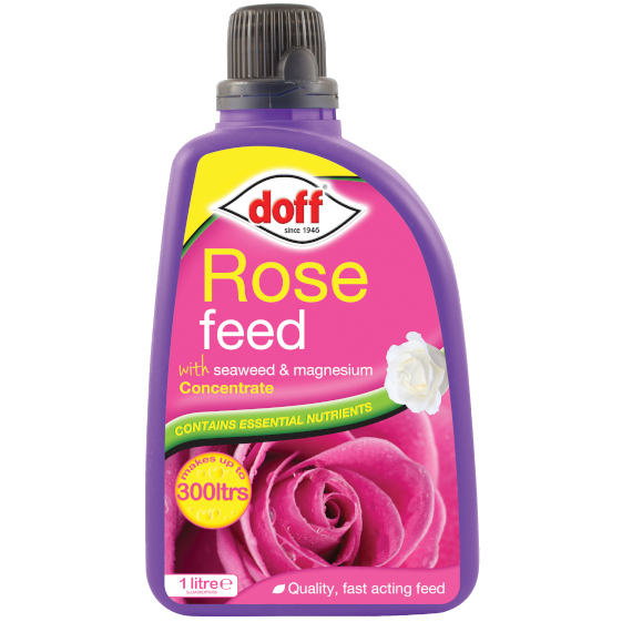Doff Liquid Rose Feed 1L - 391800