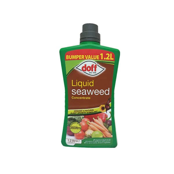 Doff Liquid Seaweed 1.2L - 393451