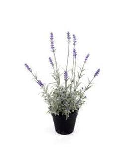 Faux Lavender 3 Varieties - 64943
