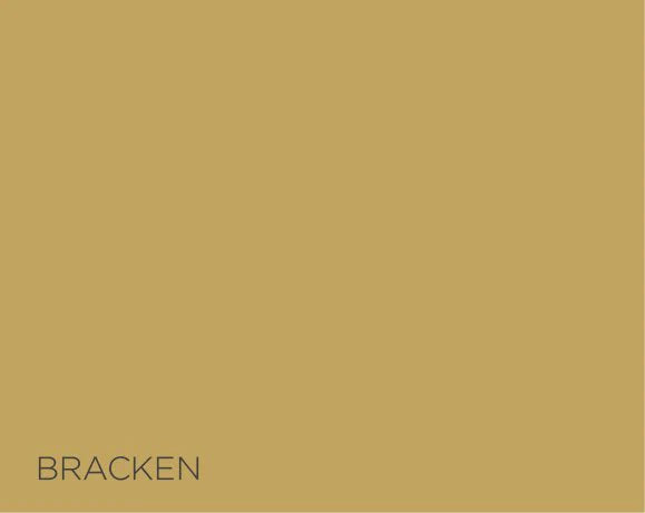 Fleetwood Weatherclad Smooth Masonry 10L in Bracken - 75707