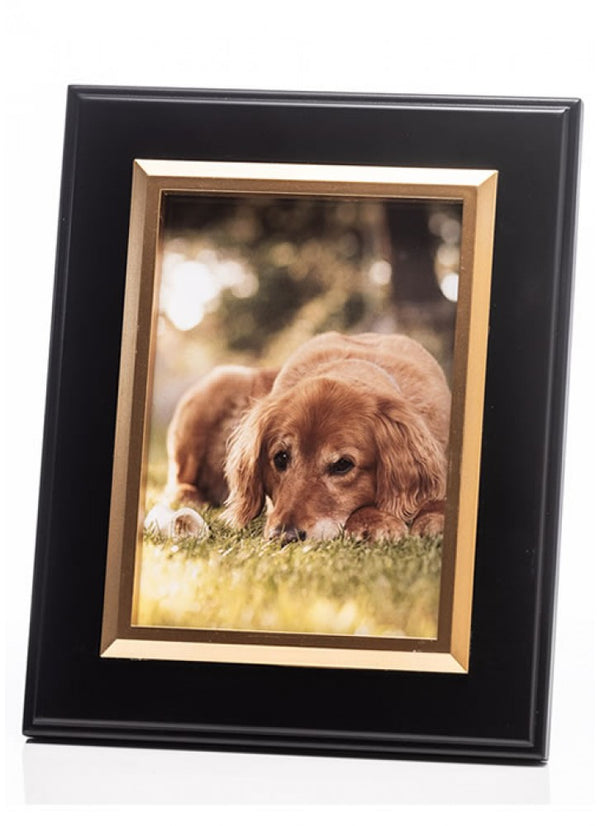 The Grange Collection Black with Gold Inner Frame 5x7in - 640796