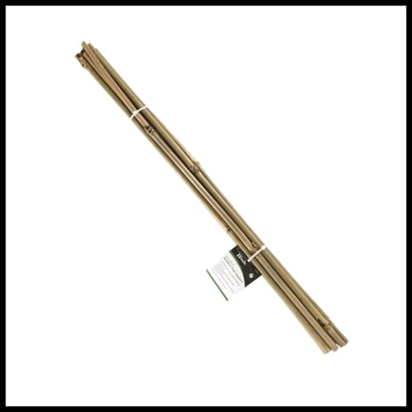 Green Blade Bamboo Plant Support - 3950414