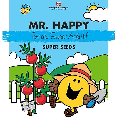 Mr. Men & Little Miss Seeds