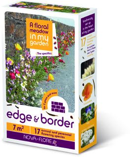 Nova Flore Edge & Border Flowers - 381040