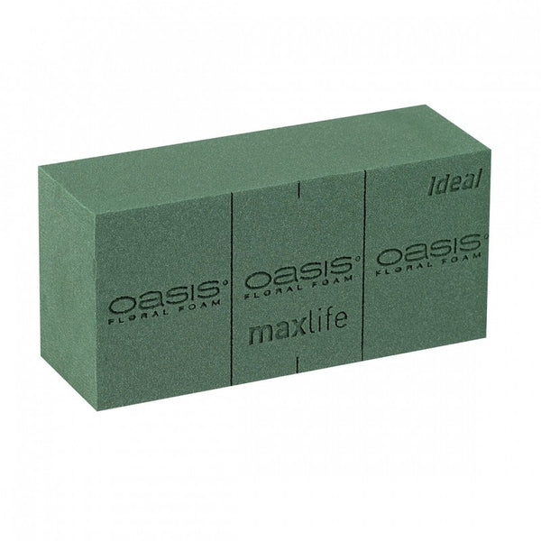 Oasis Max Life Floral Foam - 3901433