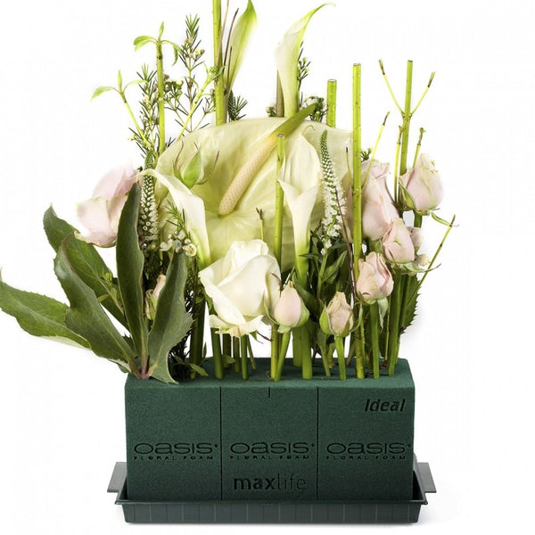 Oasis Max Life Floral Foam - 3901433