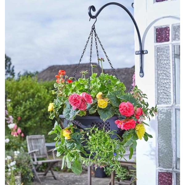 Smart Garden 15