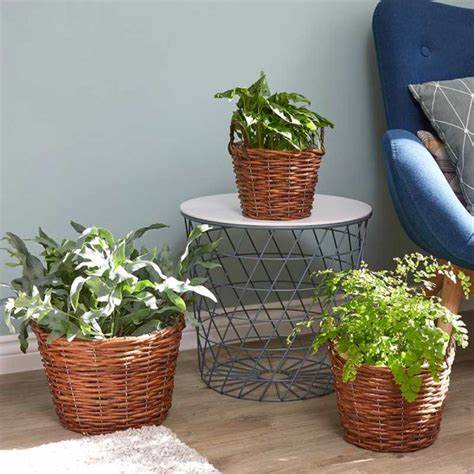 Smart Garden Decor Baskets Trio - 398764