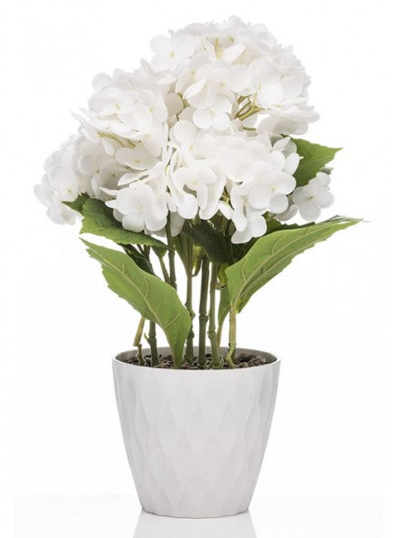 The Grange Collection Hydrangea in White - 642052