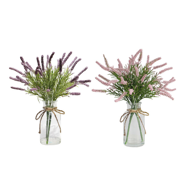 Lavender With Vase Assorted