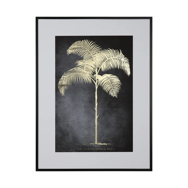 Tara Lane Framed Indica Palm Print 60 x 80cm - 641010