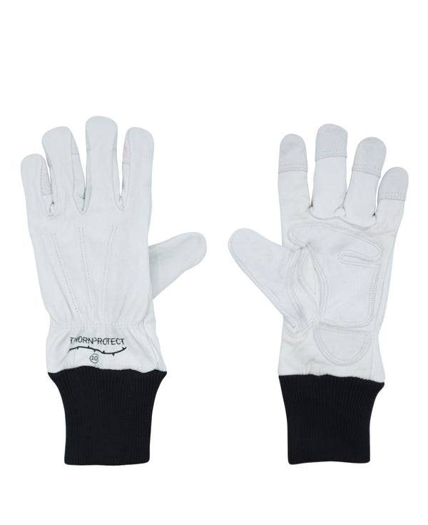PERF BARB LEATHER KNITWRIST GLOVE