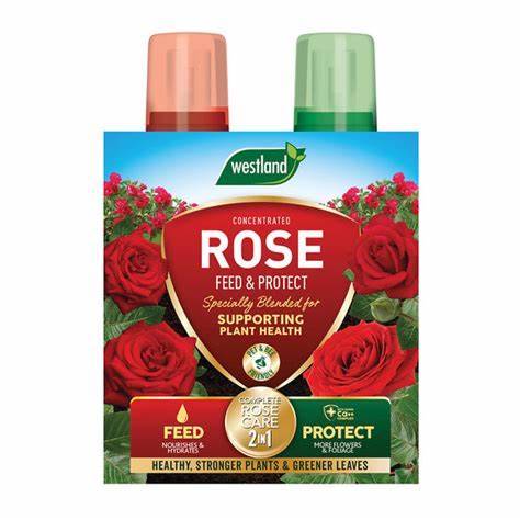 Westland Rose Feed & Protect 2 x 500ml - 39357