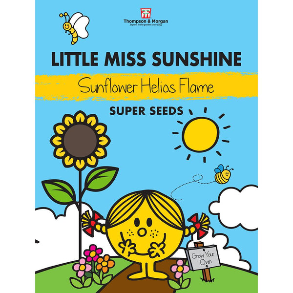 Mr. Men & Little Miss Seeds