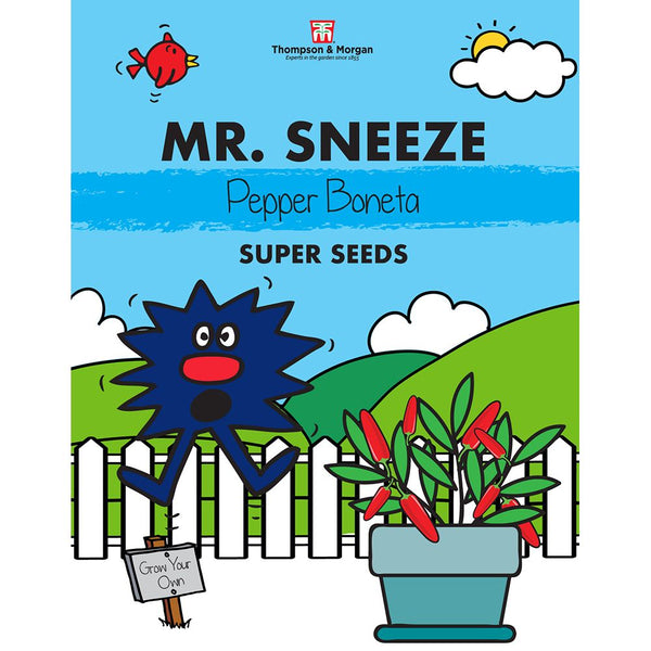 Mr. Men & Little Miss Seeds