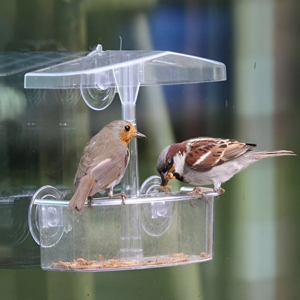 Redwood Large Perspex Window Bird Feeder - 392466