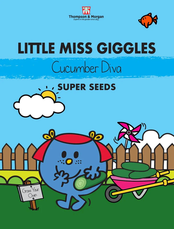 Mr. Men & Little Miss Seeds