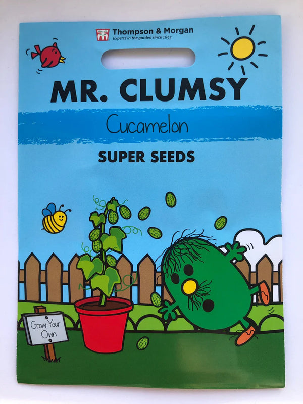 Mr. Men & Little Miss Seeds