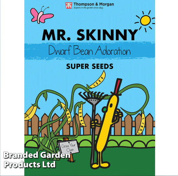 Mr. Men & Little Miss Seeds