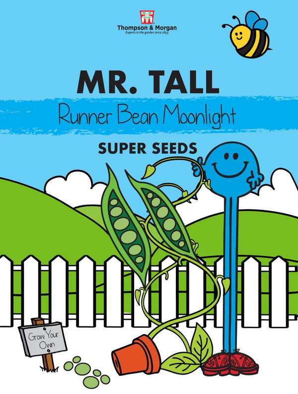 Mr. Men & Little Miss Seeds