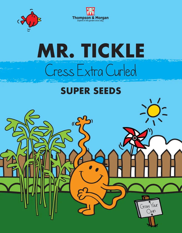 Mr. Men & Little Miss Seeds