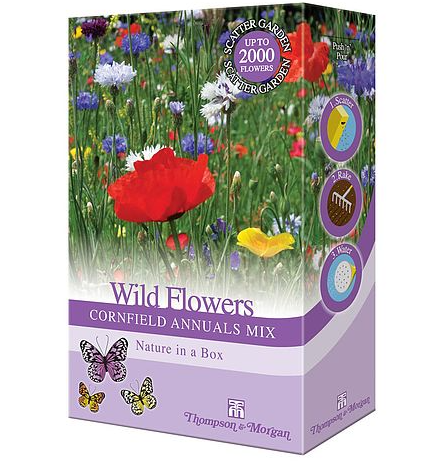 Wildflowers 'Cornfield Annuals Mix' - Seed Scatter Pack - 3811474