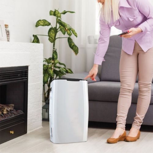 De Vielle Collection - Premium Portable Dehumidifier 20L - 6201409