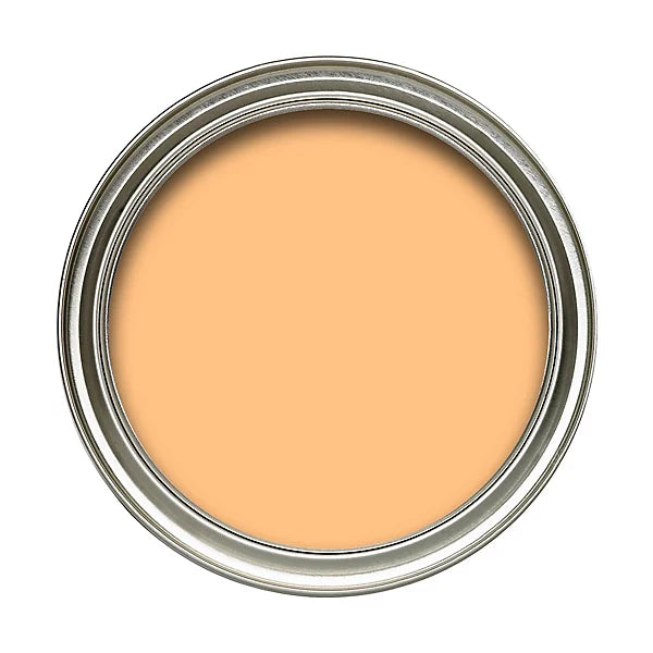 Dulux Weathershield 250ml Tester Pot