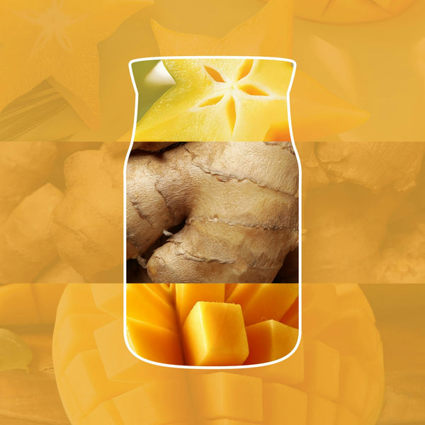 YANKEE CANDLE STARFRUIT/SUN CAR AIR FRESHENER - YNK0208